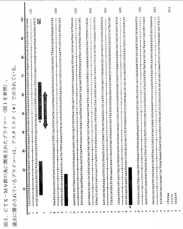 5766618-基質特異性拡張型β−ラクタマーゼの検出方法および同定方法 図000011