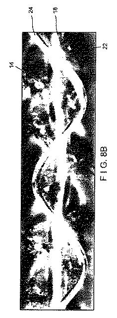 5796010-超弾力性ファブリック 図000011