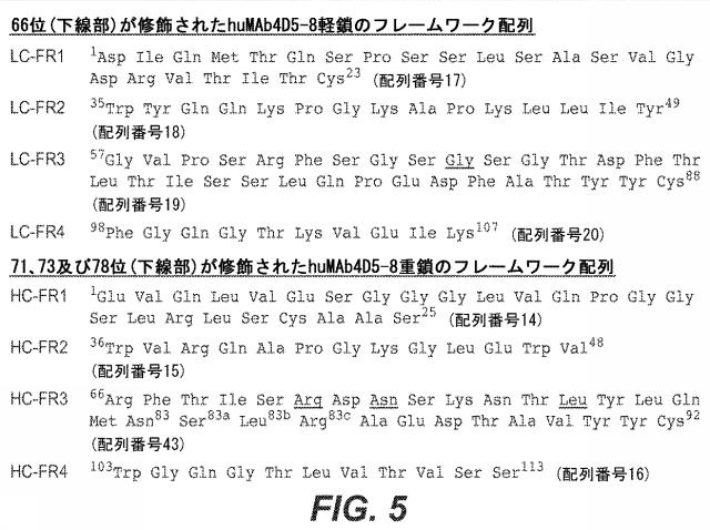 5814925-抗ヘプシン抗体及びその使用方法 図000011