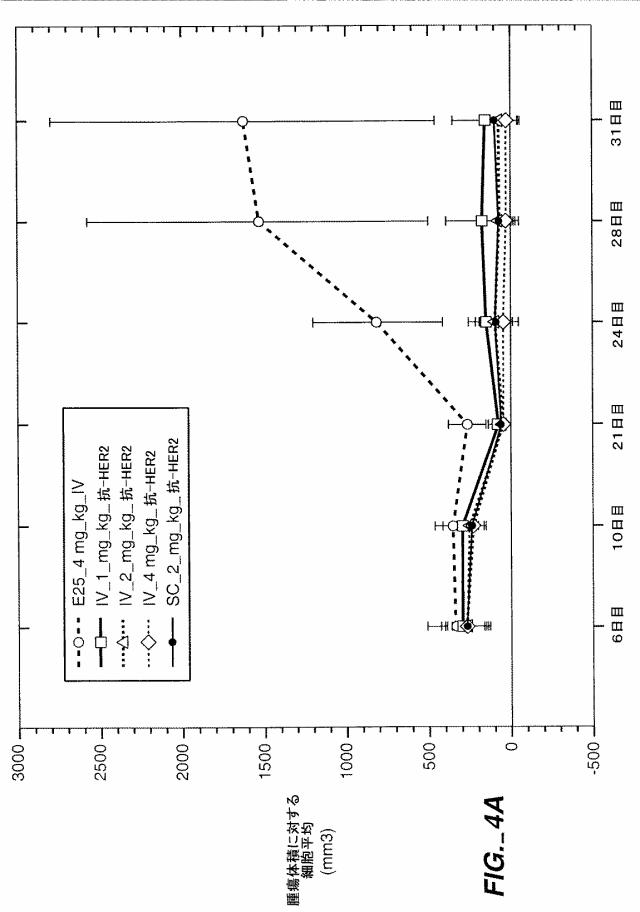 5818545-抗ＥｒｂＢ２抗体を用いた治療のためのドーセージ 図000011