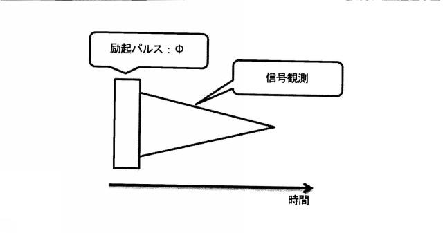 5882978-測定装置及びデータ処理方法 図000011