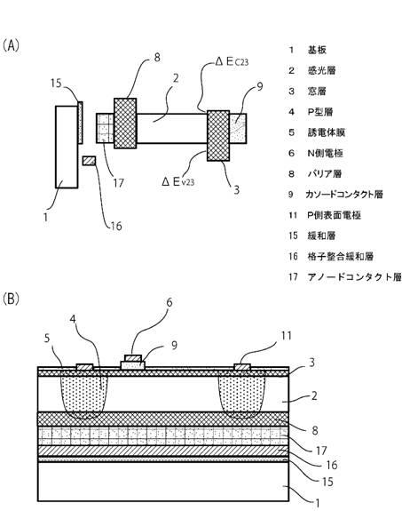 5942068-化合物半導体受光素子アレイ 図000011