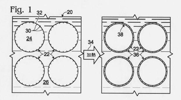 5963683-カプセル化された小滴に関するエマルジョンの化学およびアッセイ 図000011