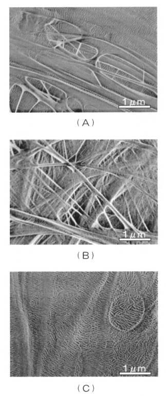 5979375-超高分子量ポリエチレン製多孔化膜の製造方法 図000011