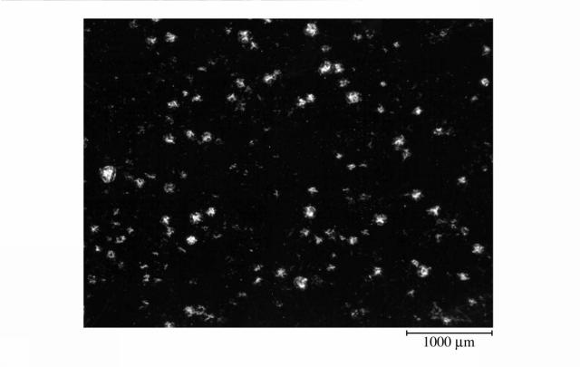 5986332-微多孔プラスチックフィルム 図000011