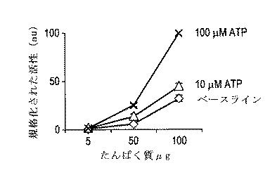 6005651-トランスフェラーゼの活性同定方法 図000011