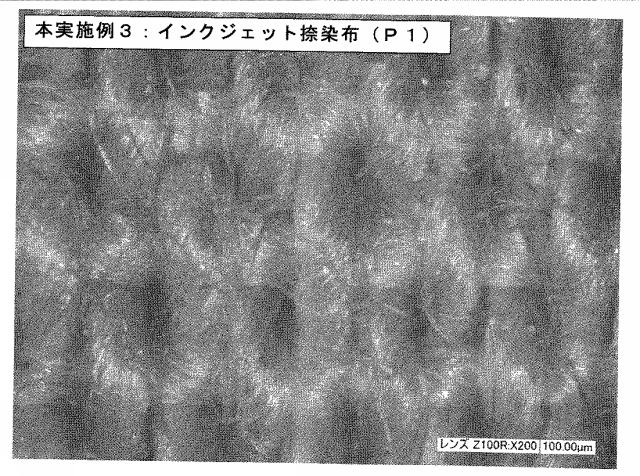 6025633-インクジェット捺染用インクセット及びインクジェット捺染方法 図000011