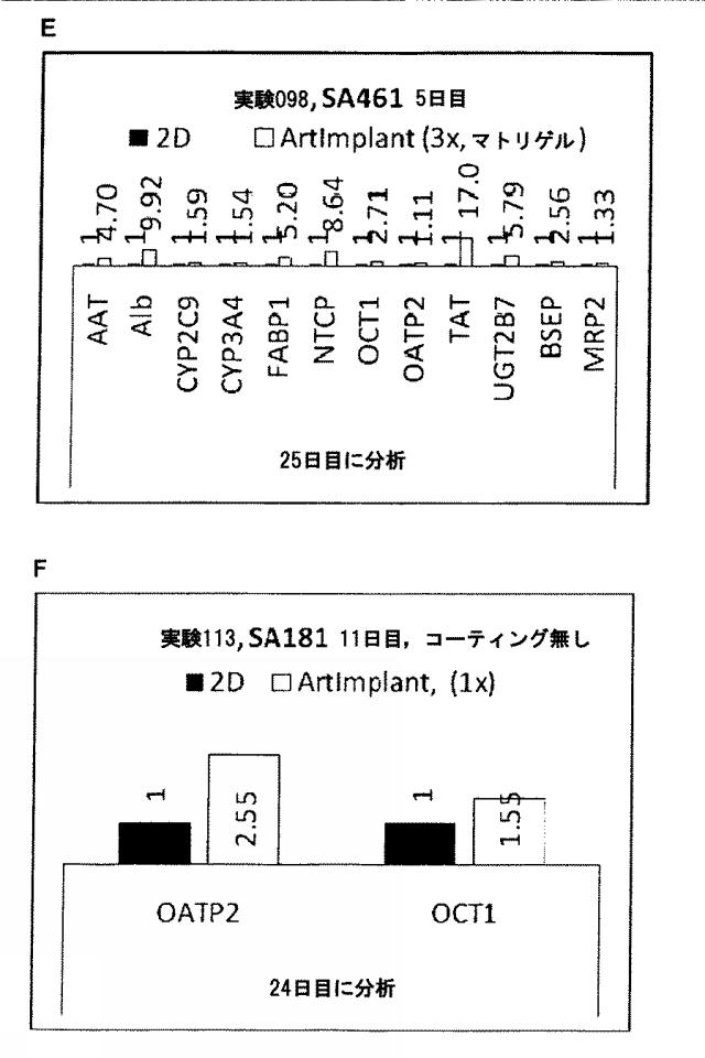 6025715-多能性幹細胞の肝細胞への分化を向上する三次元スキャホールド 図000011