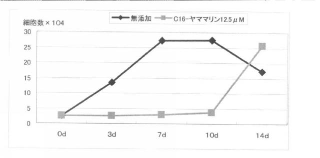 6027300-細胞または臓器の保存液および保存方法 図000011