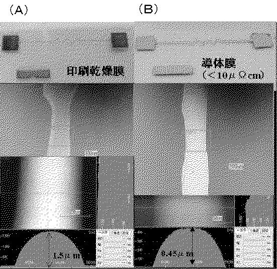 6053725-銅系ナノ粒子分散液とその製造方法及びその分散液から製造される銅導体膜が形成された基材 図000011