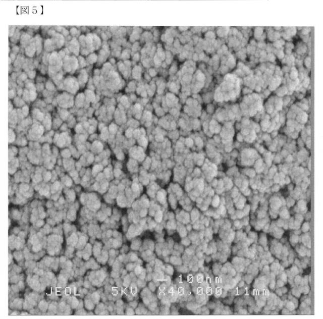 6072967-リン酸カルシウム焼結体粒子の製造方法 図000011