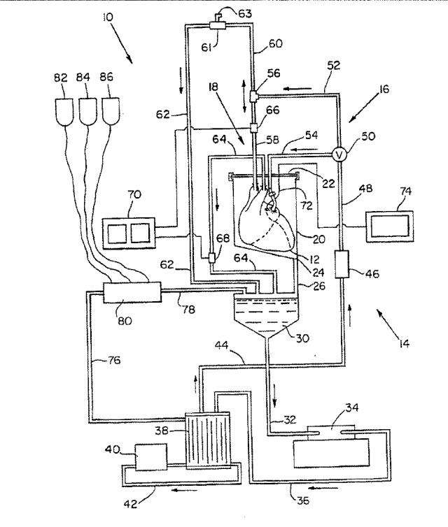 6134771-臓器を維持するための組成物、方法及び装置 図000011