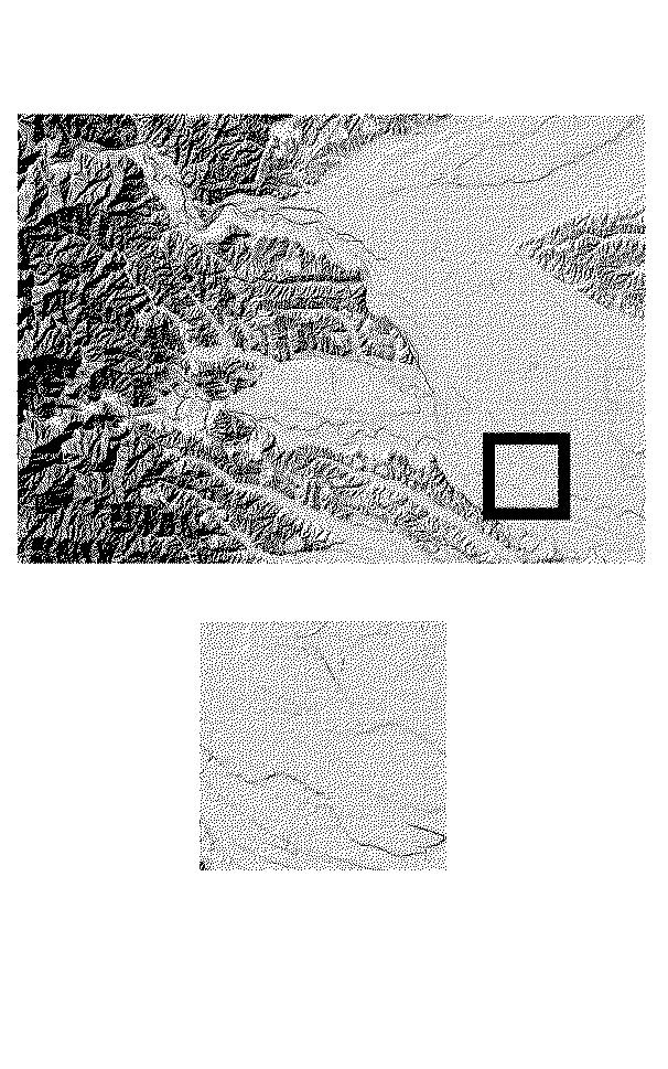6145196-地図作成装置及び地図作成方法 図000011