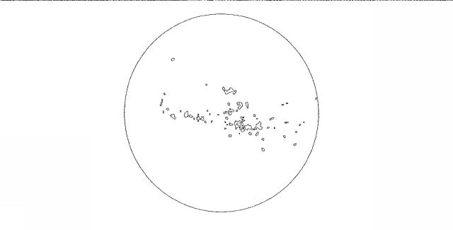 6189902-文化財の表面から白化した合成樹脂を除去する方法 図000011