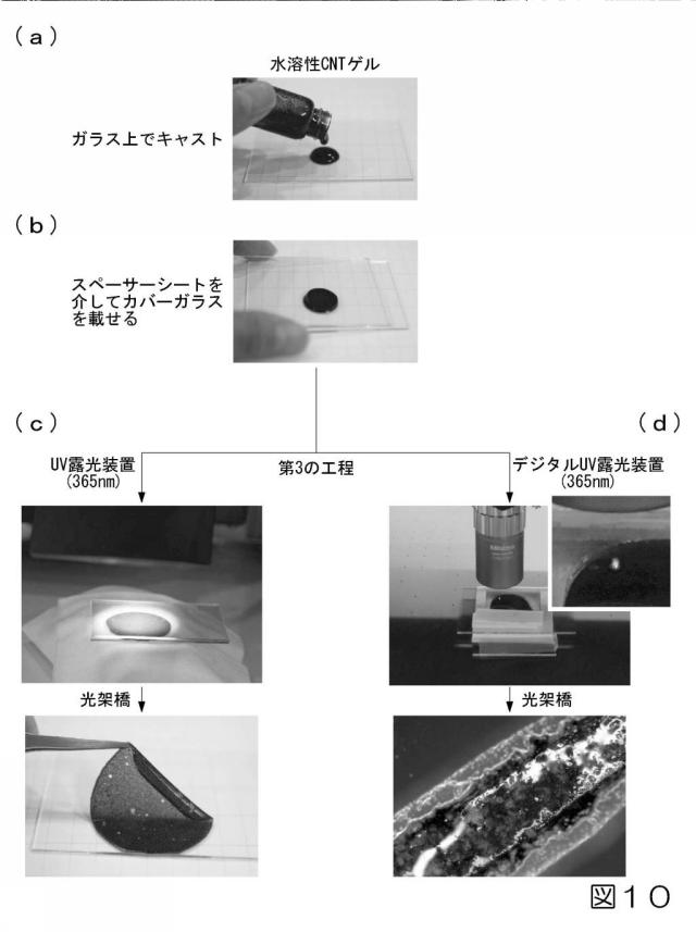 6212814-多点プローブ及びそれを構成する電子接点シート、多点プローブアレイ並びに多点プローブの製造方法 図000011