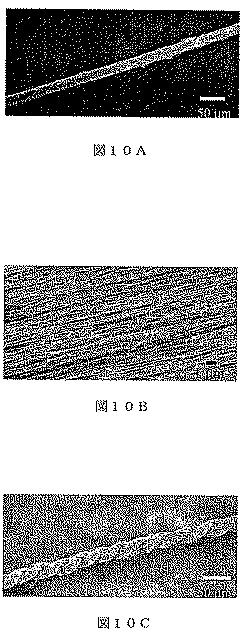 6243880-凝集物の製造方法 図000011