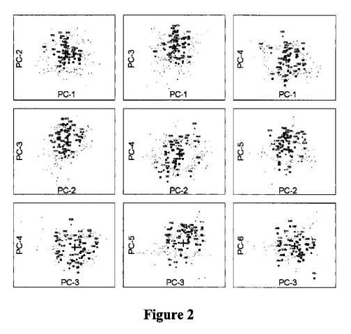 6244226-過敏性腸症候群の処置および予防のための組成物および方法 図000011