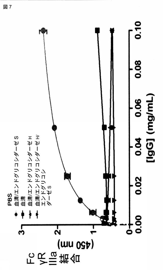 6249962-抗体およびエンドグリコシダーゼの組合せ治療上の使用 図000011