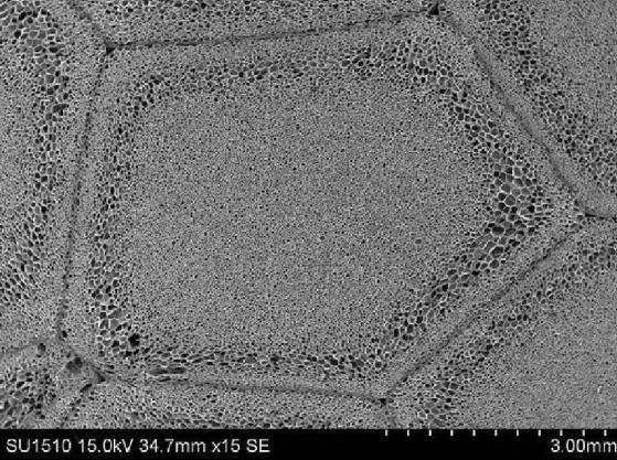 6253839-エステル系エラストマー発泡成形体、その用途及びエステル系エラストマー発泡粒子 図000011