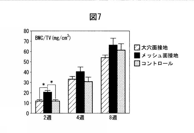 6358605-骨髄類似構造を利用した細胞培養法、及び骨損傷部位の治療のためのポリイミド多孔質膜 図000011