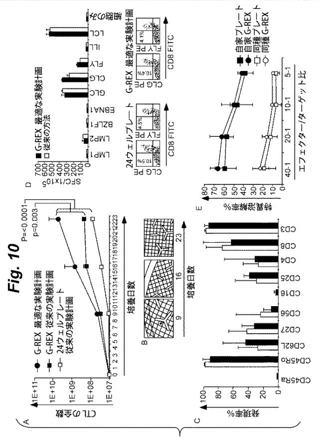 6386447-養子細胞療法のための改良された細胞培養法 図000011