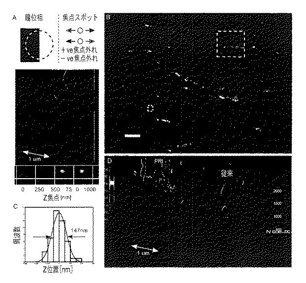 6416160-３Ｄ局在顕微鏡法並びに４Ｄ局在顕微鏡法及び追跡方法並びに追跡システム 図000011