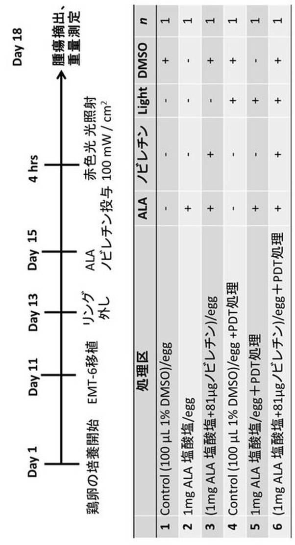 6417477-ＡＬＡ−ＰＤＴ又はＡＬＡ−ＰＤＤにおける光線力学的効果の増強剤 図000011