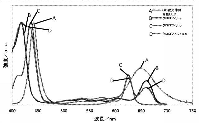 6430453-光合成生物の成長を促進するための量子ドットＬＥＤ 図000011