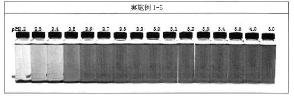 6521600-耐酸性を有するクチナシ色素製剤 図000011
