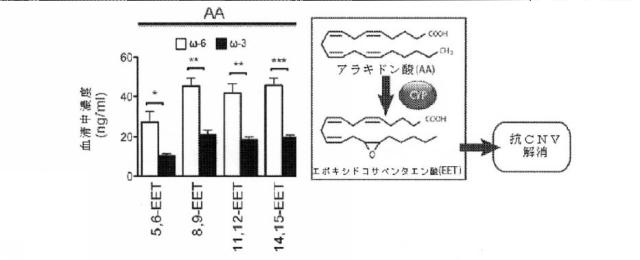 6526570-炎症及び血管形成を減少させるＣＹＰ４５０脂質メタボライト 図000011