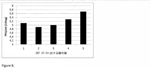 6546659-不死化ニワトリ胚線維芽細胞 図000011