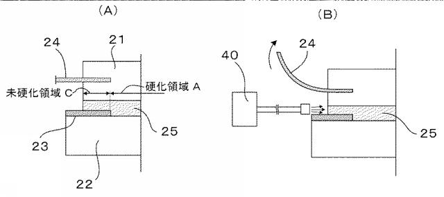 6578820-紫外線照射器および紫外線照射装置 図000011