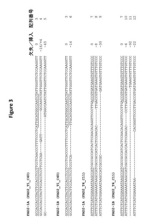 6591898-ＦＡＤ２−１Ａ／１Ｂ遺伝子の標的化ノックアウトを介した、大豆油組成物の改変 図000011