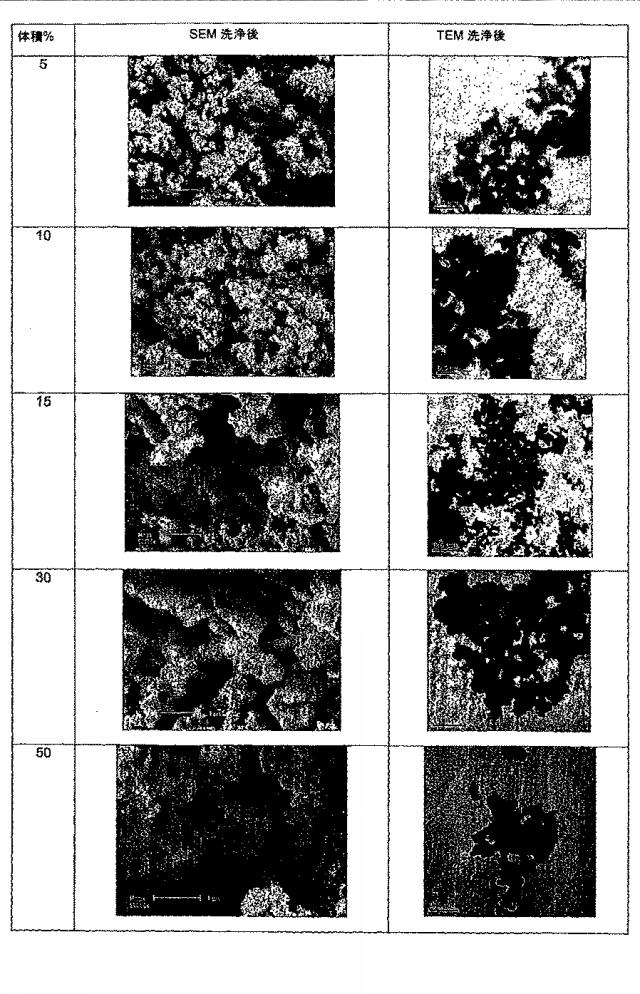 6651489-ナノ粒子状の形態における生物学的に活性な化合物の調製のための方法 図000011