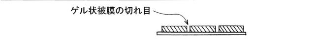 6703660-冷却装置及び冷却水循環方法 図000011