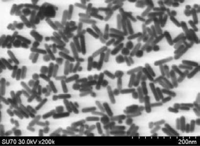 6716632-パラジウム被覆異方性金ナノ粒子を含む被験物質を検出するための組成物及びその用途 図000011