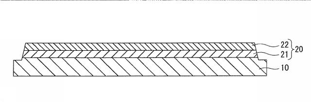 6774899-ホール素子及びホール素子の製造方法 図000011