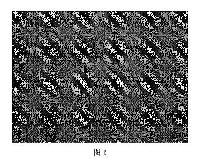 6783871-向上された弾性率を有する軽量鋼、鋼板およびその製造方法 図000011