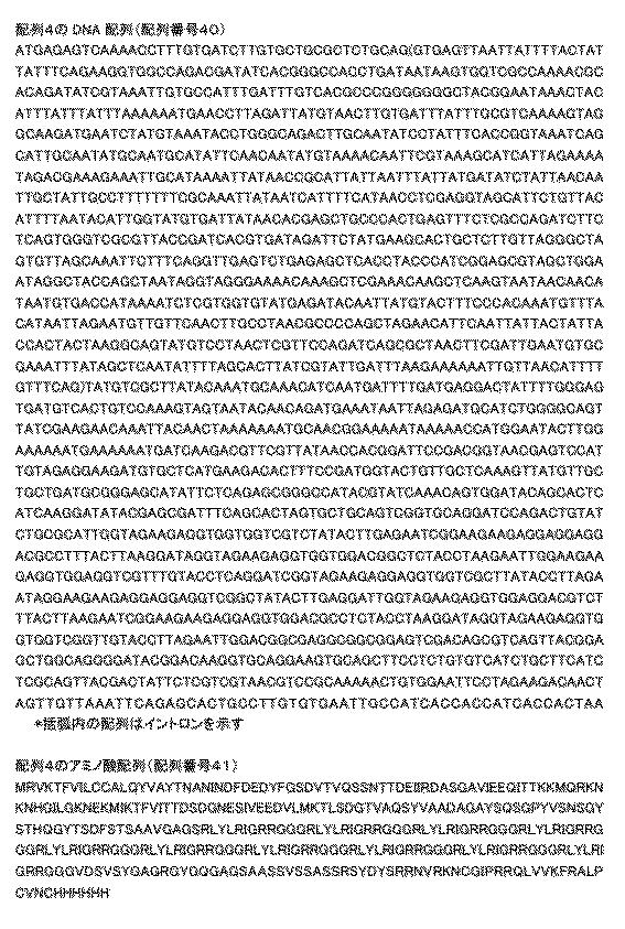6810470-融合タンパク質を含むシルク繊維及び該シルク繊維の製造方法 図000011