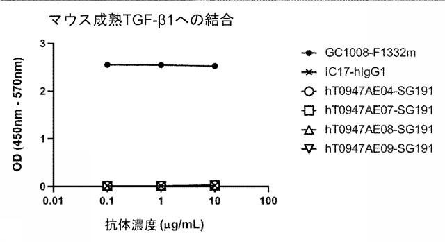 6846564-種交差性抗潜在型ＴＧＦ−β１抗体および使用方法 図000011