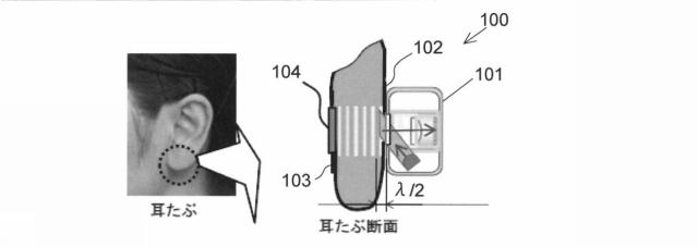 6853584-光学特性測定装置及び光学特性測定方法 図000011