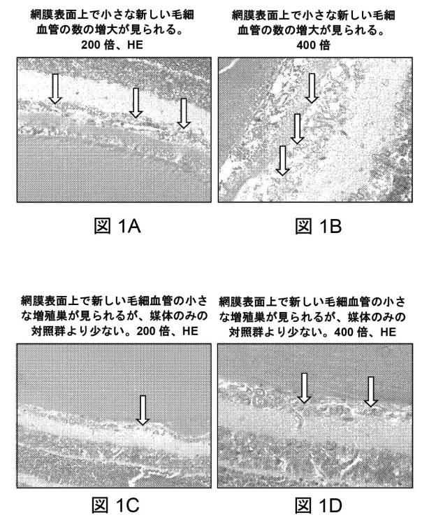 6867288-リファマイシンの眼科用組成物およびその使用 図000011