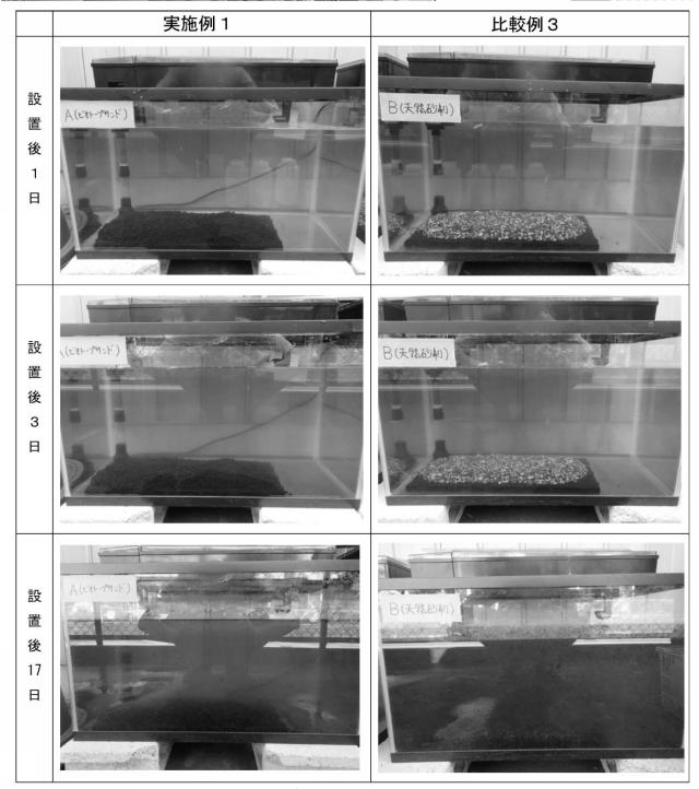 6868283-環境浄化用粉体及びその製造方法、並びに環境浄化用成形物 図000011