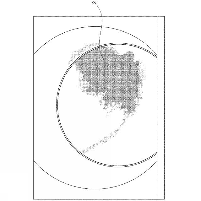 6882744-内視鏡の視野確保用の粘弾性組成物 図000011