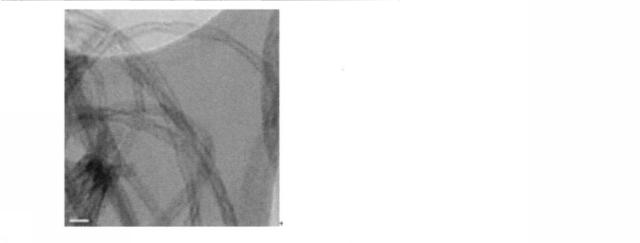 6969938-カーボンナノチューブの精製方法 図000011