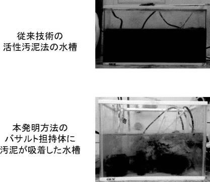 6977961-水質浄化システム 図000011