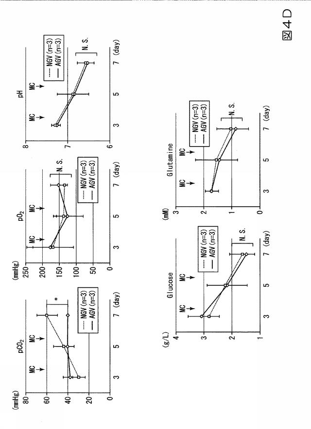 6978045-未分化幹細胞を培養し心筋細胞を分化誘導するシステム及び心筋細胞の製造方法 図000011