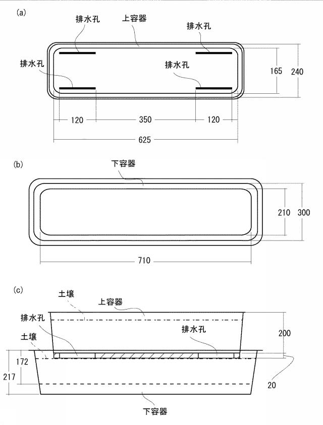 5668249-栽培容器、及び高糖度のトマトの栽培方法 図000012