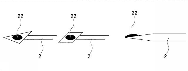 5717183-試料イオン化方法 図000012