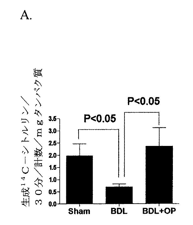 5749255-Ｌ−オルニチンフェニル酢酸塩を用いる門脈圧亢進の治療及び肝機能の修復 図000012